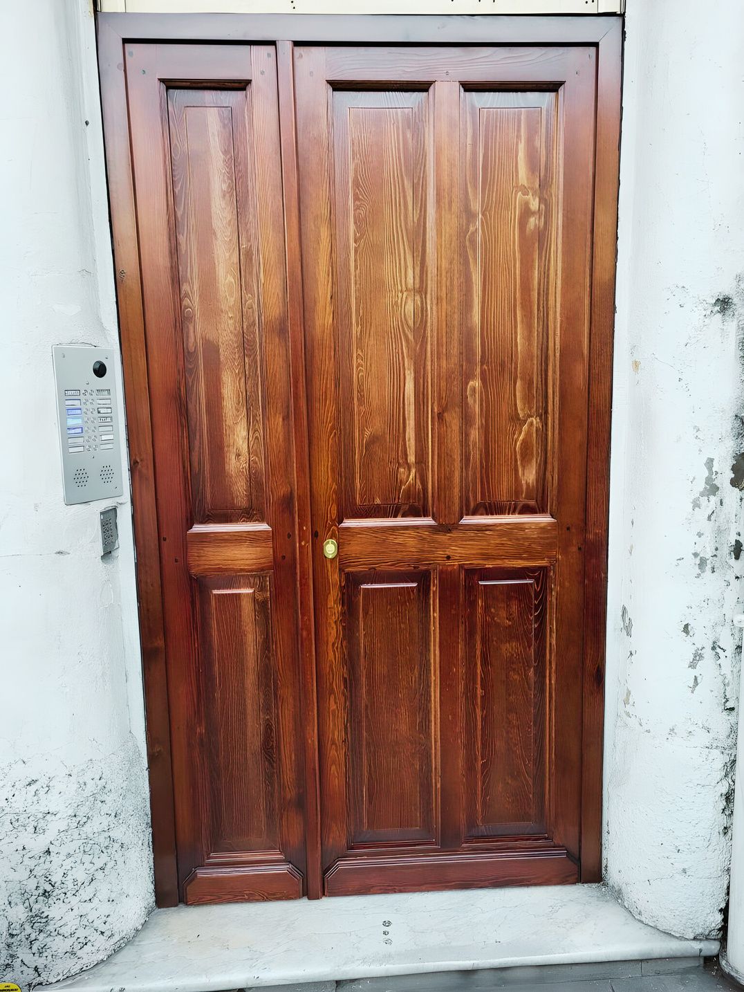 Double porte bois à panneaux moulurés